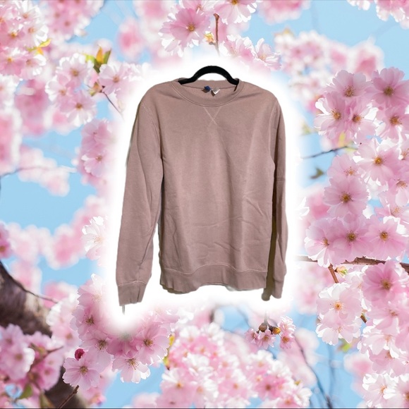 Divided Tops - Blush Pink Crew Neck Sweater